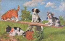 CHATS et chien , la balançoire (909) carte vendue en l'état.