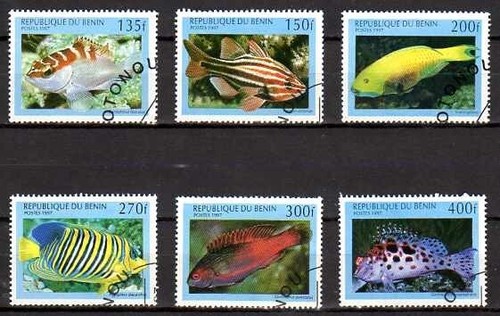 Animaux poissons bénin - bénin, 1999
