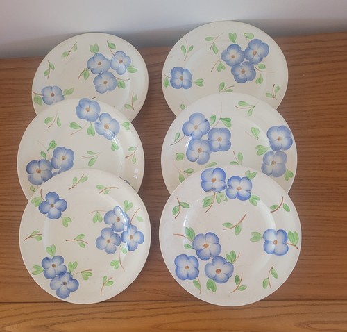Assiettes plates modèle - 6,