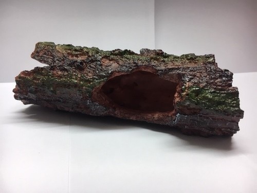 Reptile vivarium petit - reptile,