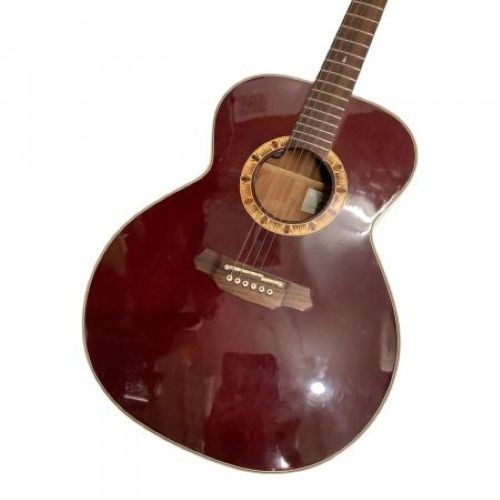 Guitare électrique acoustique