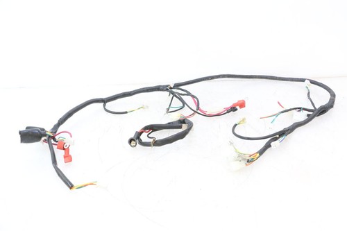 Faisceau tnt motor roma 12 - faisceau,