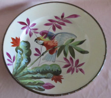 Creil et Montereau Plate Decor Painted Decor Polychrome Bird Parrot