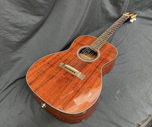 Guitare électrique acoustique