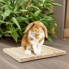Planche à gratter pour lapin Claws Care Cage Accessoires Pad Meulage Griffes