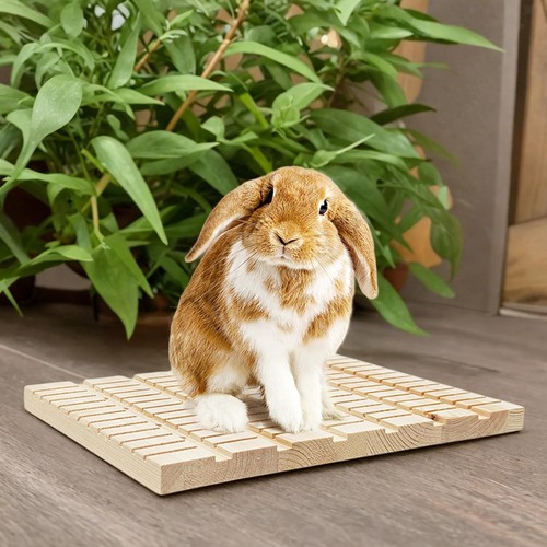 Planche gratter pour lapin - à,