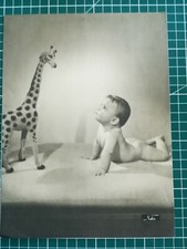 DD065 PHOTO VGC circa 1950 24x18cm Nalkin baby looking at a plush giraffe