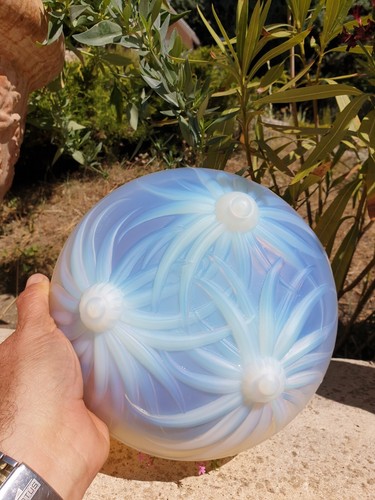 Belle coupe verre - belle,