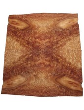 Kampher Bois de Racine Placage Camphre 39x39-41cm 4 Feuillage Maserholz Rare &