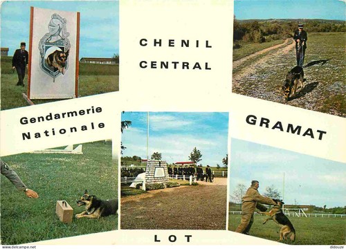 Carte postale divers - postale,