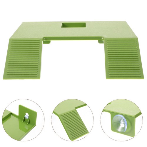 Plateforme pour tortue - plateforme, de