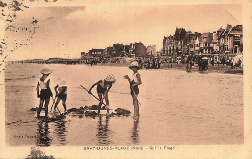 Bray dunes plage - dunes,
