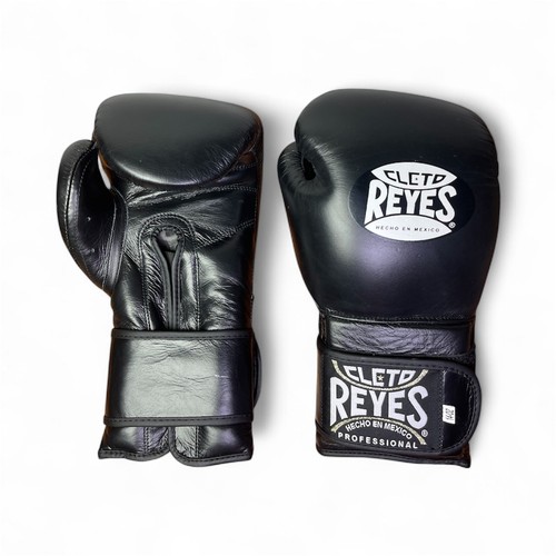 Cleto reyes training - cleto, boxing
