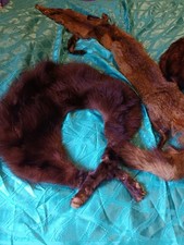 Toque étole renard col