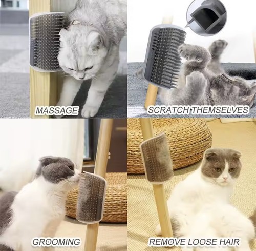Brosse chat masseur anti - masseur, anti-poils
