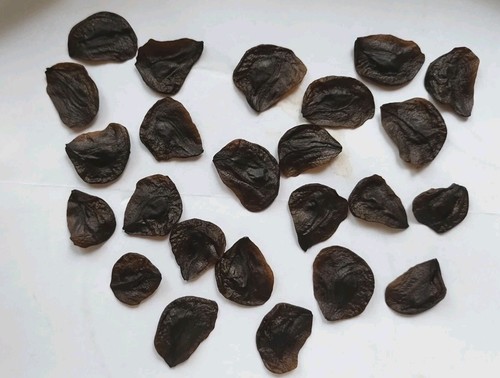 Organic 2026 new - new, seeds