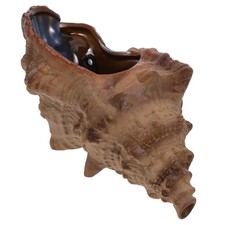  Fontaine Eau Exterieur