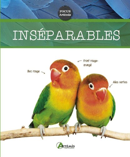 Inseparables collectif bon - |,