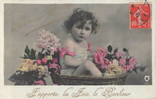 CP I BRING JOY HAPPINESS BABY IN BASKET FLOWERS - 21603