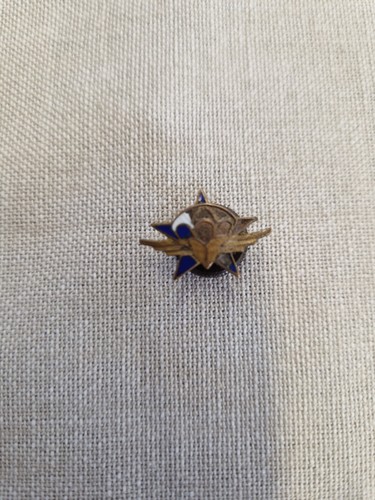 Insigne poitrine - insigne,