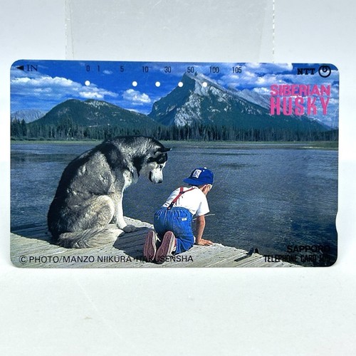 Siberian husky boy telephone - husky,