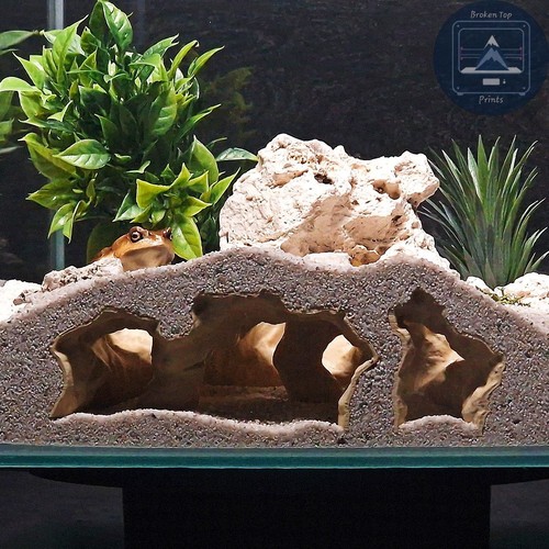 Aquarium and terrarium - aquarium,