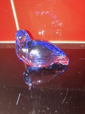 Figure pigeon dove De Sousa