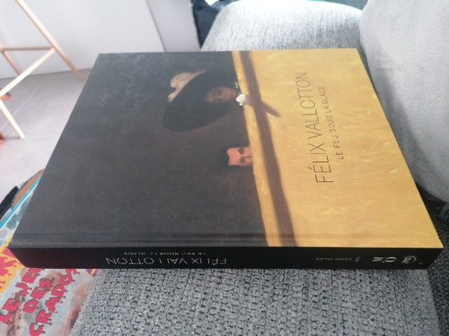 Livre art félix vallotton - d'art,