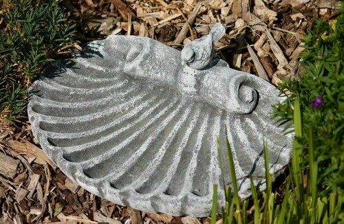 Bain oiseaux avec - d'oiseaux,