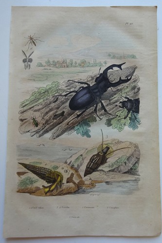 Gravure 1835 dict histoire - gravure, dict.