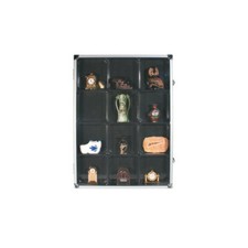 Vitrine de collection avec 12