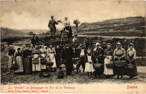 Cpa vendange beaune - vendange,