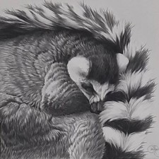 Ecole du XXème "Maki"