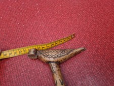 Morceau De CANNE BOIS DE POILU