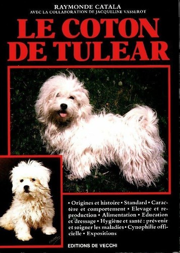 Coton tulear raymonde - coton,