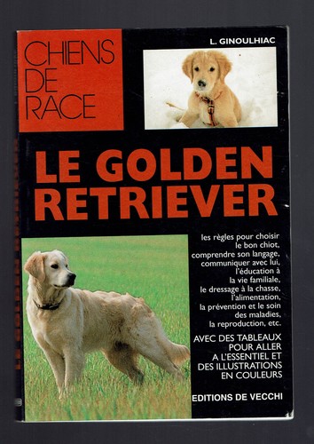 Golden retriever - le,