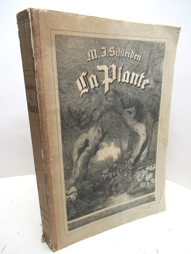Schleiden plante sa vie - schleiden,