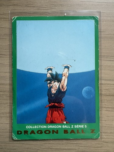 Carte 94 son gokuh - 🇫🇷,