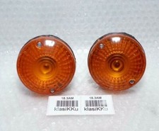 Paire de clignotants avant