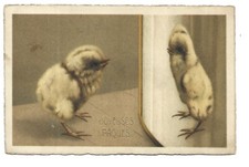 ILLUSTRATION  POUSSIN  PAQUES