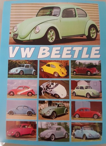 Volkswagen cox coccinelle - volkswagen,