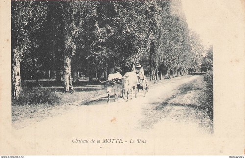 Chateau motte bois - 71, la