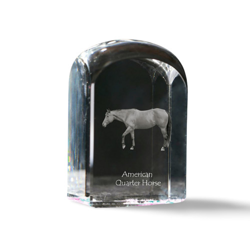 Quarter horse américain - horse,