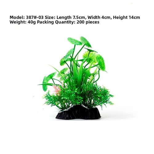 Plantes aquatiques