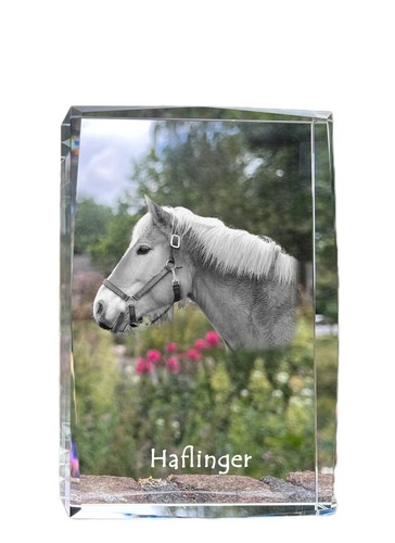 Haflinger collier avec cristal - haflinger,