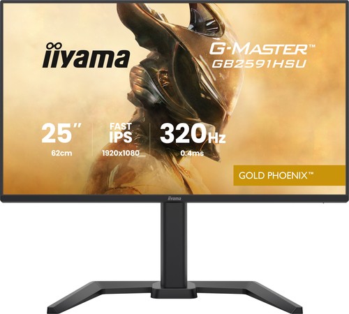 Iiyama master gb2591hsu b1 - iiyama, g-master