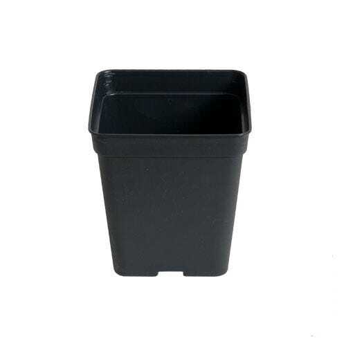 10x pots carrés - 10x,