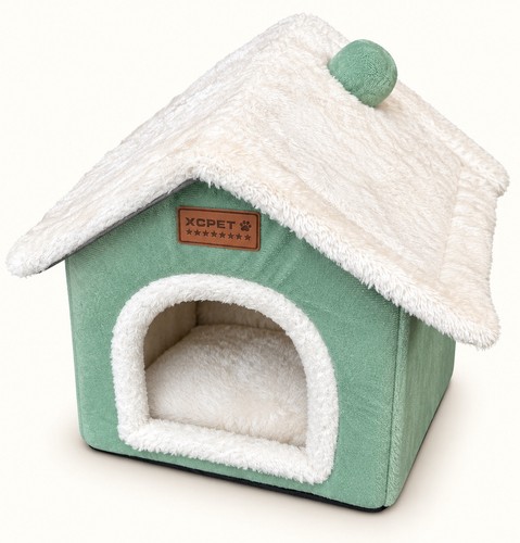 Maison petit animal - petit, chat