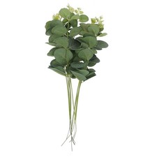  10pcs Eucalyptus Gâteau à gâteau Inserts Eucalyptus Leaf Gâteau Inserts Plugins