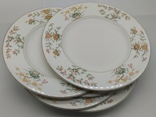 Lot de 6 Assiettes Plates